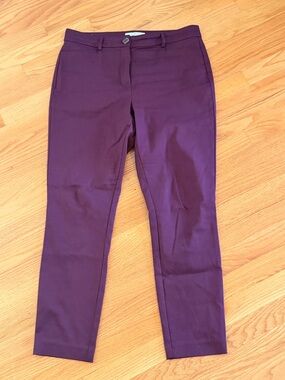 LOFT Maroon  Size 10 Curvy Sutton Skinny Pants